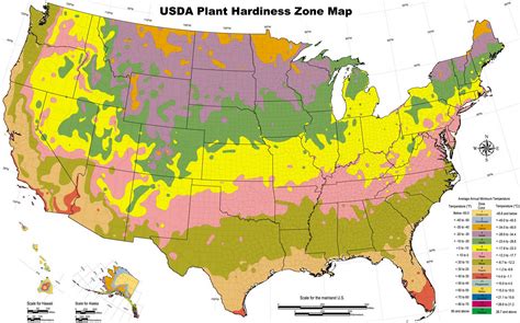 us planting zone map by zip code