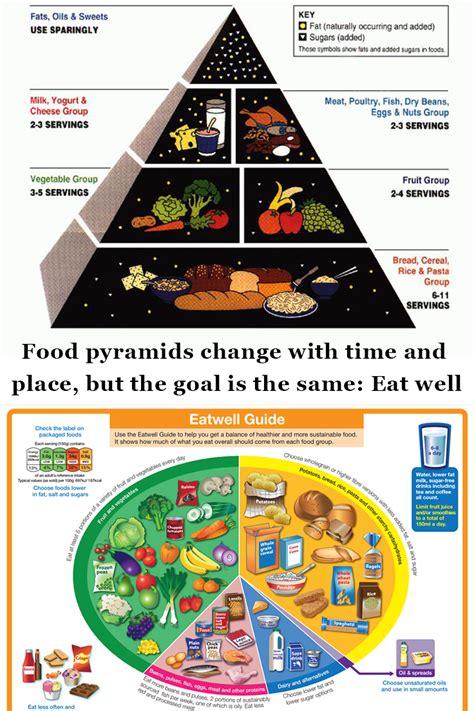 usa food pyramid 2022 pdf