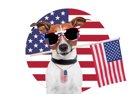 usa pet