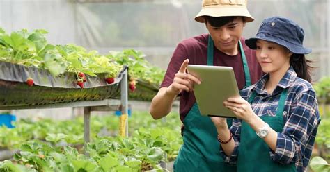 Peluang Emas Usaha di Kampung: Temukan Ide Bisnis Menggiurkan!