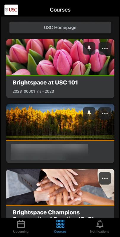 Unlock USC's Virtual Learning Platform: BrightSpace for Enhanced Education