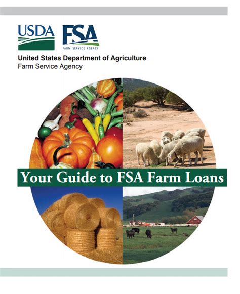 usda farm service agency loans and grants