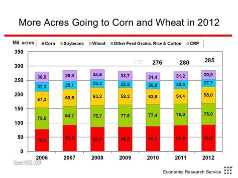 usda grains and oilseeds outlook