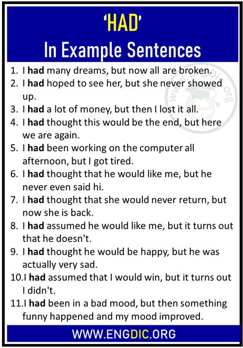 use had in a sentence example