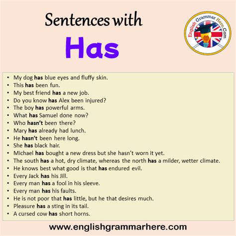 use has in a sentence examples