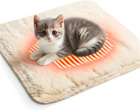 Use Heating Pad Kitten