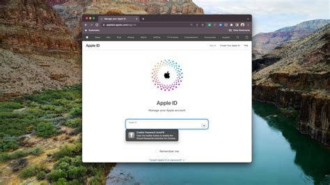 use icloud passwords in chrome on mac