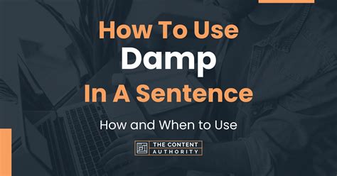 Use Of Damp In A Sentence