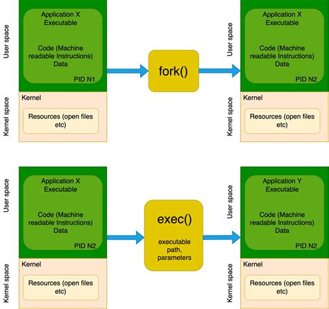 Use Of Fork And Exec