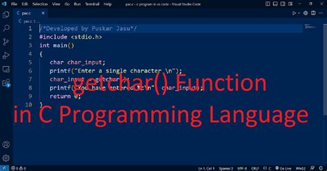use of getchar () function in c language