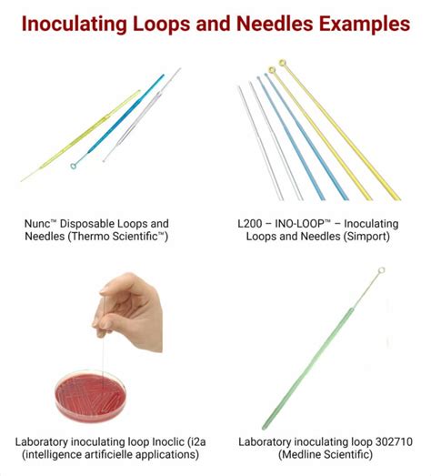 Use Of Inoculating Loop In Microbiology