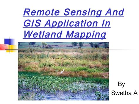 use of remote sensing for mapping wetlands