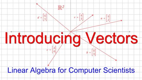 use of vector in computer science