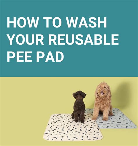 Use Pee Pads Or Not