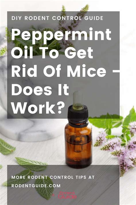 use peppermint oil for mice