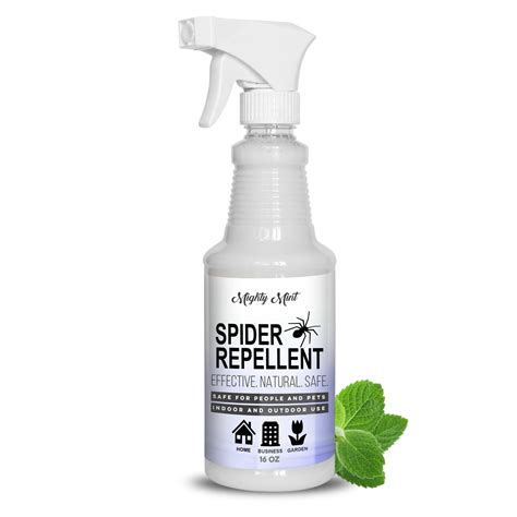 use peppermint oil for spiders