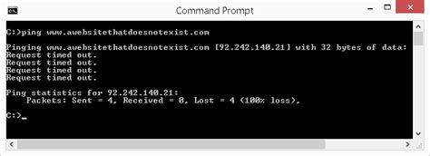use ping command to check connectivity of any website