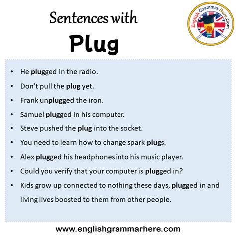 use plug in a sentence