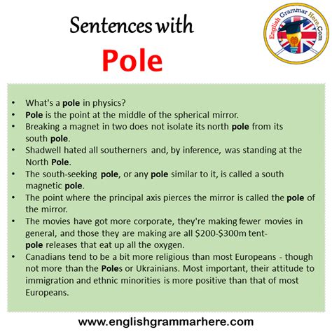 use poll and pole in a sentence examples