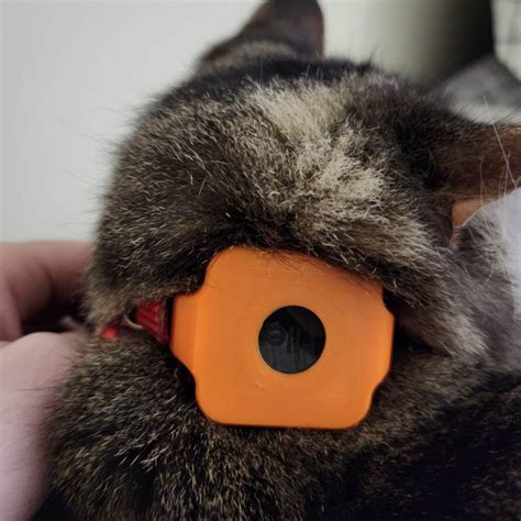 Use Tile On Cat Collar