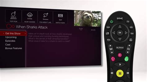 Use Tivo Without Subscription