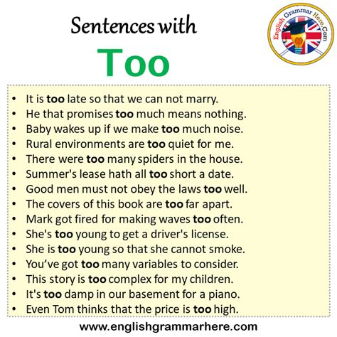 use too in a sentence example
