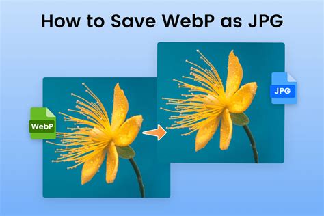 Use Webp As Background Image