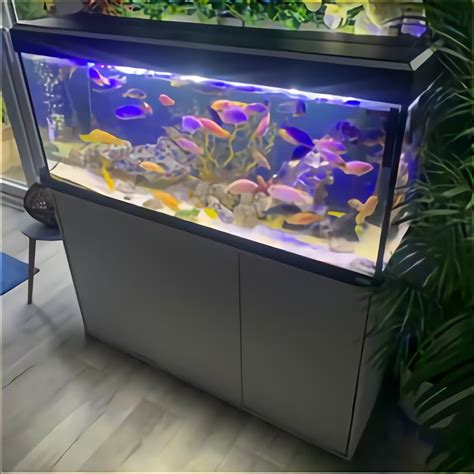 Used fish tanks on social media marketplaces
