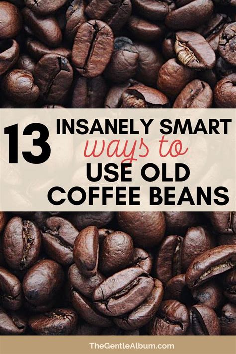 Used Coffee Beans Uses