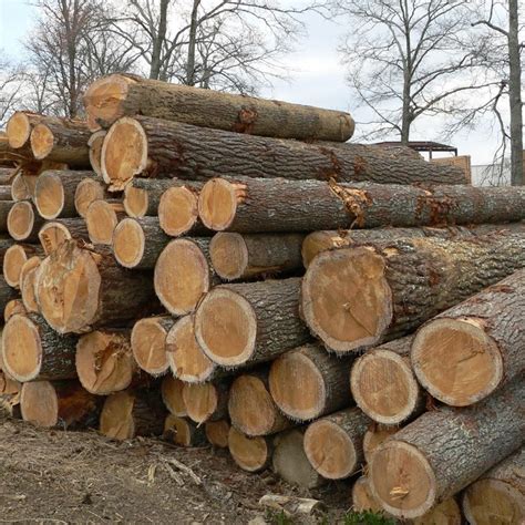 used logs for sale md