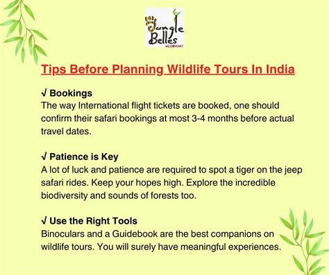 useful tips before the tour