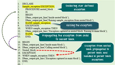 user defined exception in oracle pl sql with example