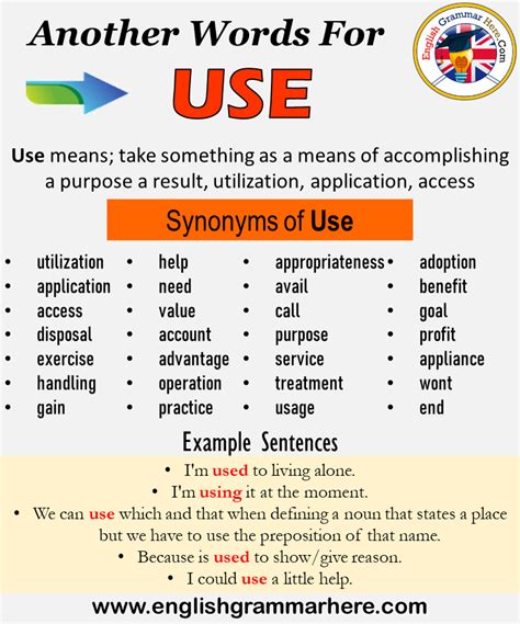 user in other words