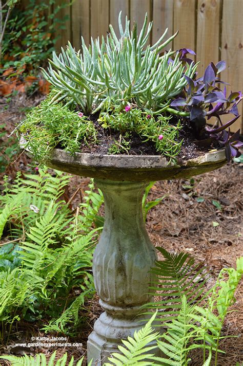 Uses For Old Bird Bath