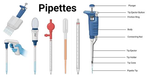 uses in laboratory of pipettes