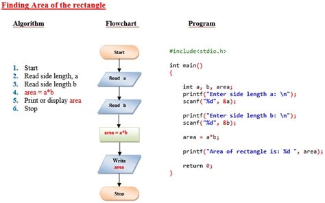 uses of algorithm in c