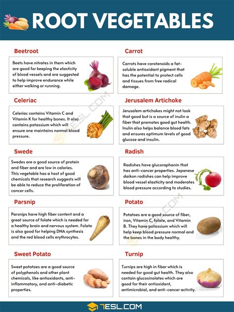 Uses Of Root Vegetables