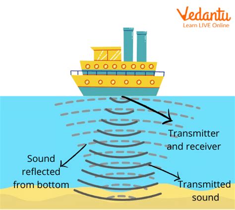 uses of sonar