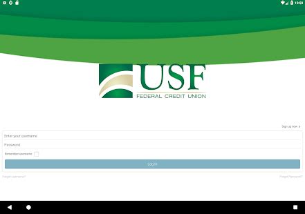 usf fcu login help