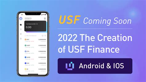 usf finance