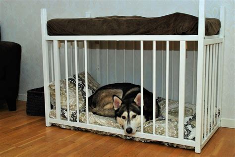 Using A Dog Crate For A Rabbit