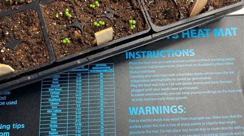 Using A Heat Mat For Seedlings