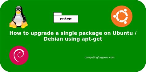 Using Apt Get In Debian