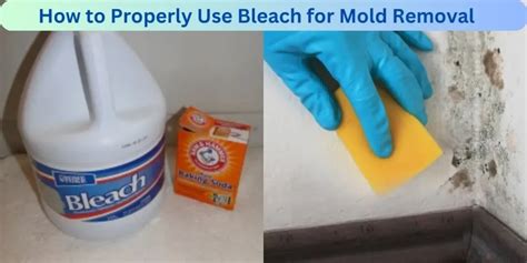 Using Bleach To Kill Mold On Drywall