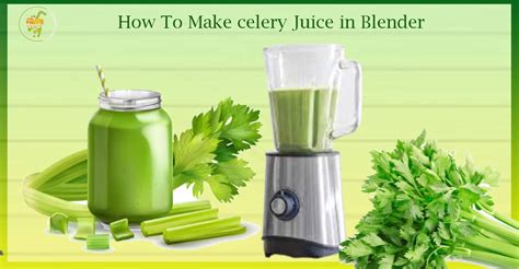 Using Blender For Celery Juice