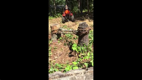 Using Block And Tackle To Pull Stumps