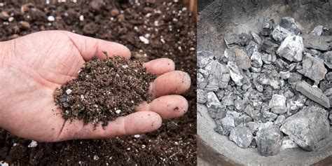 Using Coal Ash In Garden