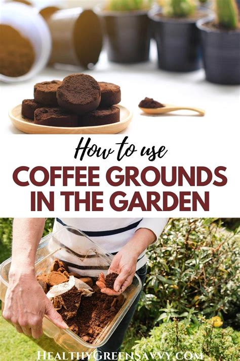 10 Super Simple Ways To Use Coffee Grounds In The Garden