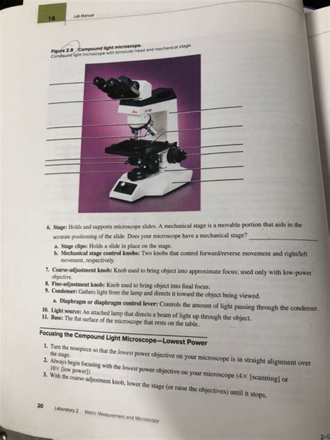 Using Compound Light Microscope Lab Answers