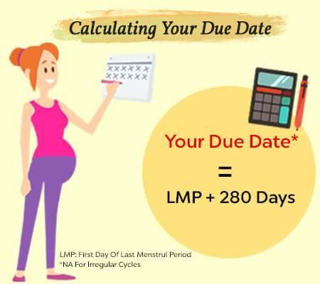 using conception date to calculate due date